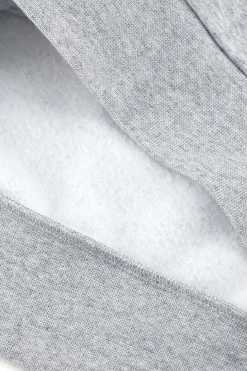 Felpa Grigia Con Cappuccio Champions Hooded Sweatshirt
