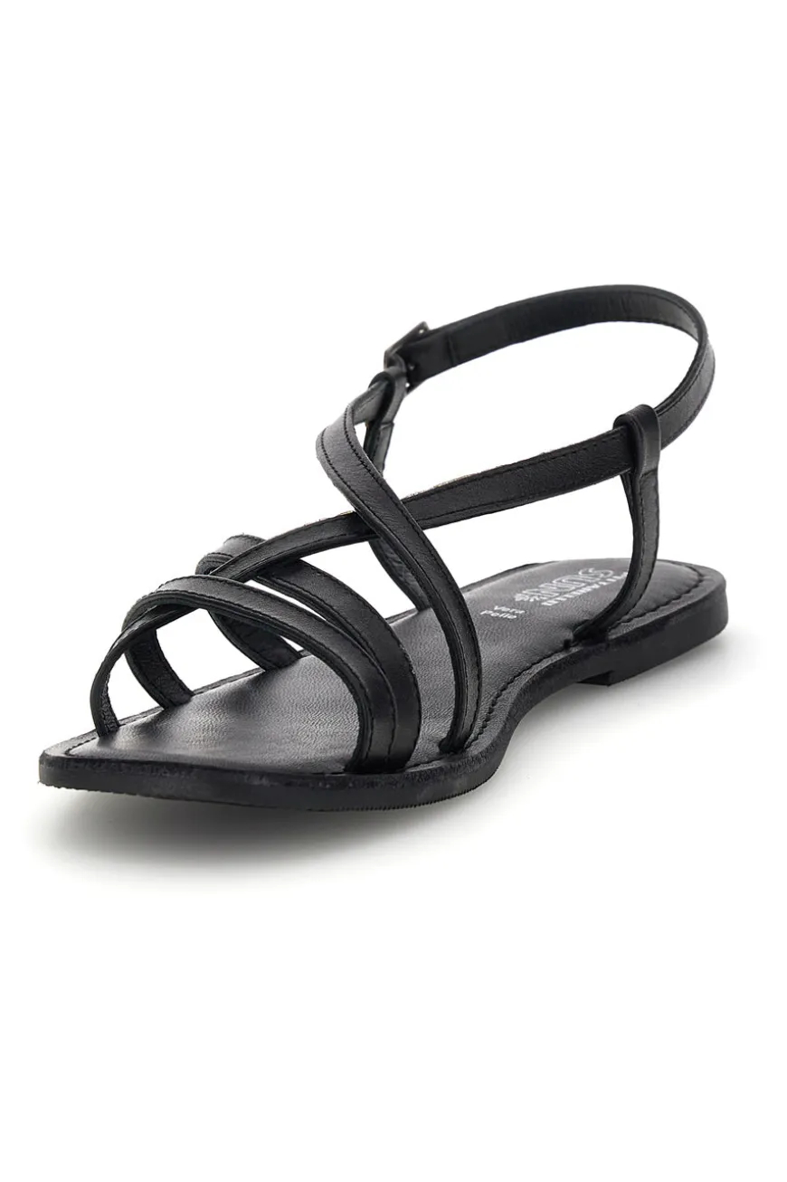 PITTARELLO SUN TIM9936 SCHWARZ
