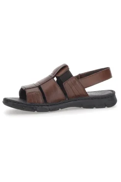 Sandali Fisherman Marroni Pittarello ECO 2417985