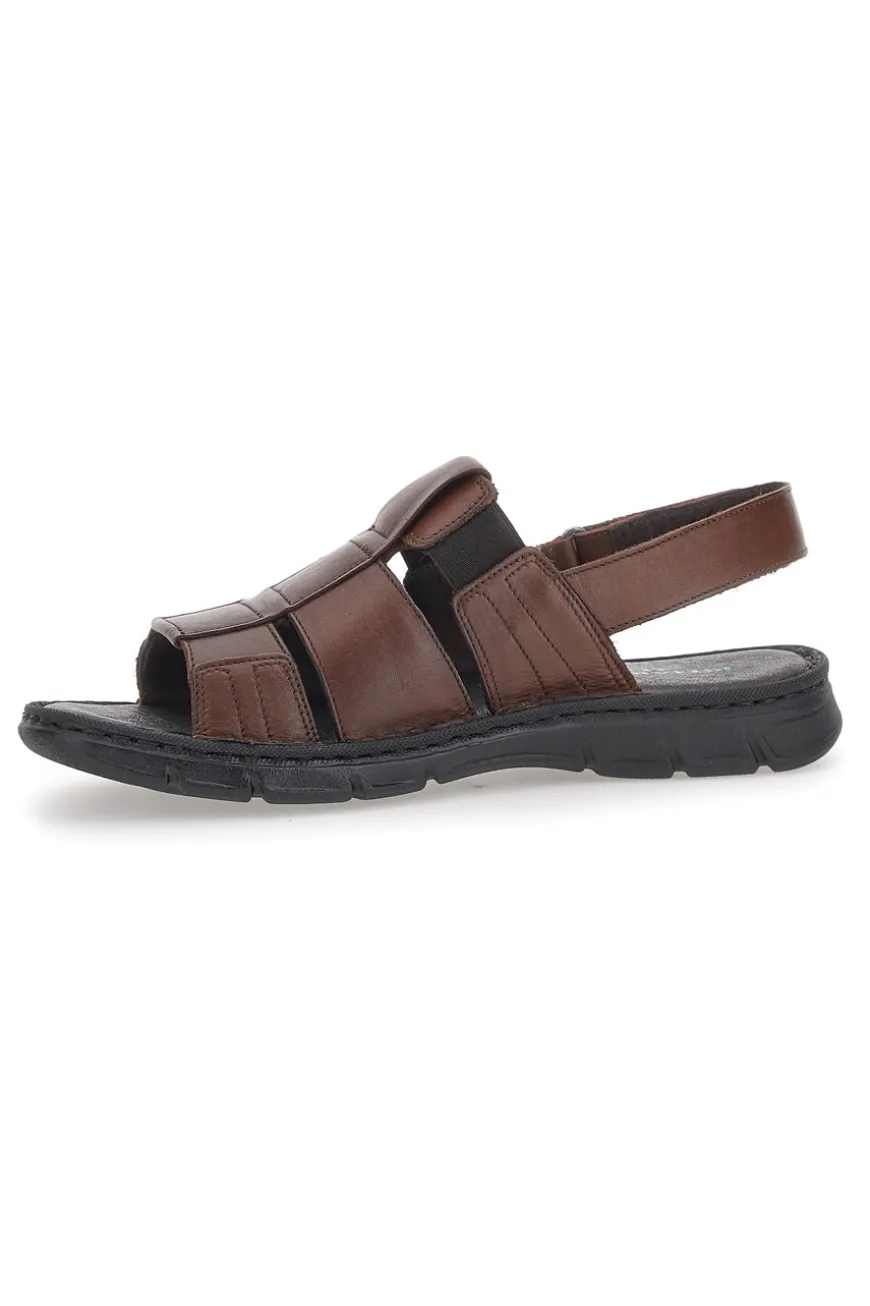 Sandali Fisherman Marroni Pittarello ECO 2417985