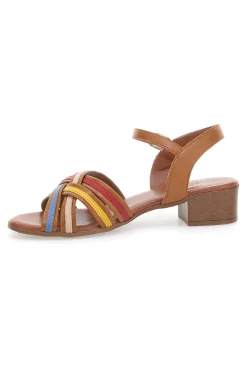 Sandali marroni con fascie colorate in Vera Pelle PITTARELLO LOOK 243110