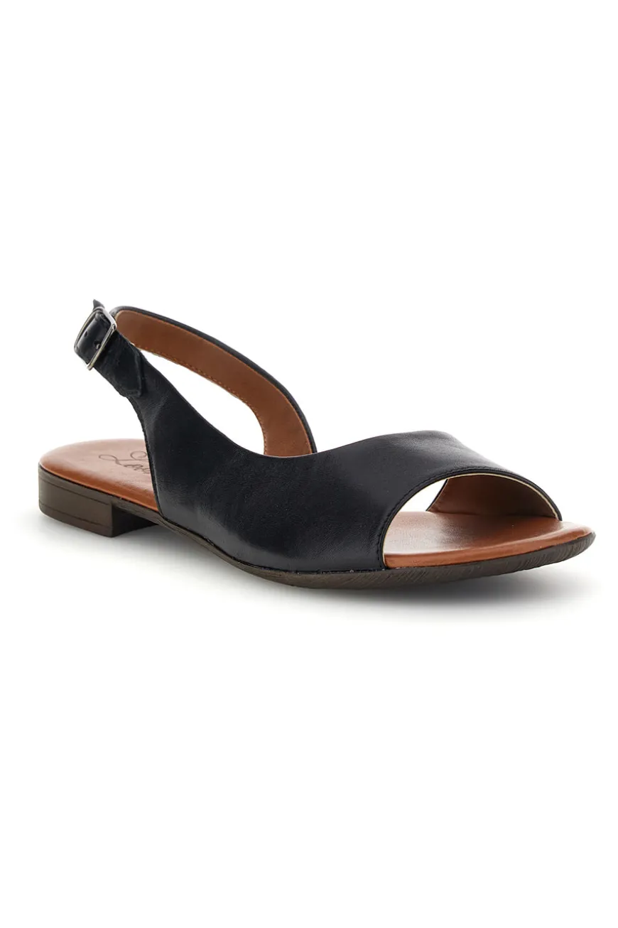 Sandali neri in pelle con cinturino Pittarello look 225110