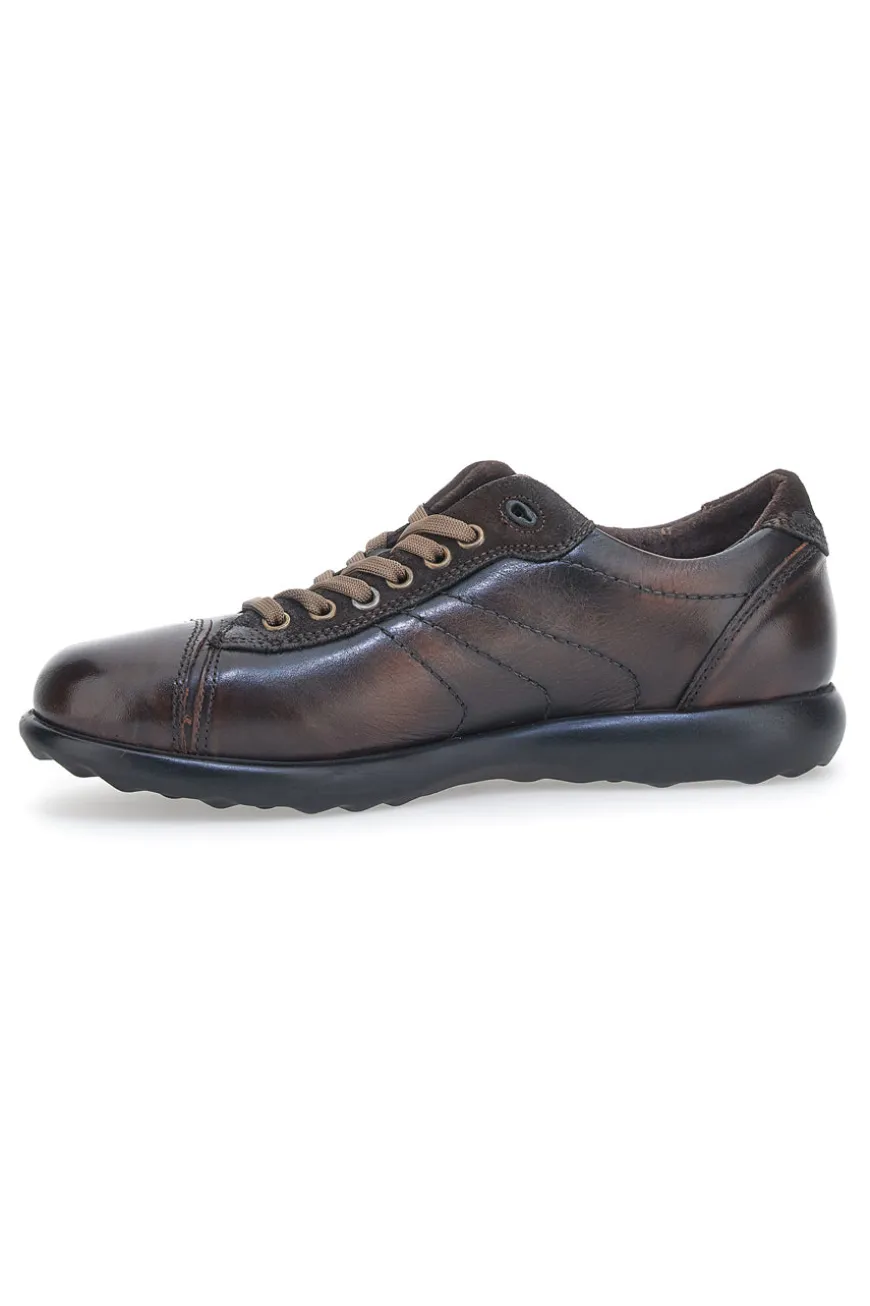 Scarpe Stringate Jerpoint 1911 Marrone