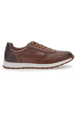 Scarpe Stringate Marroni con Lacci Sevenoaks 202341