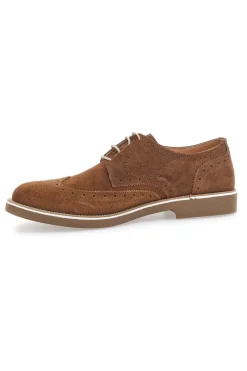 Scarpe Stringate Marroni In vera Pelle Scamosciata Pittarello 1112