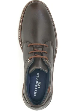 Scarpe Stringate Marroni Pittarello Eco 450002