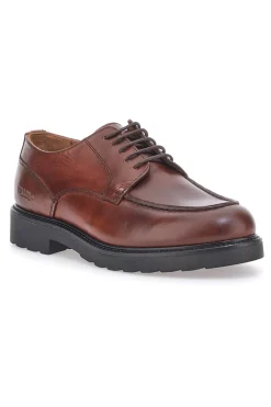 Scarpe Stringate Marroni Pittarello Plus 12056