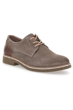 Scarpe Stringate Taupe Pittarello Eco 51005