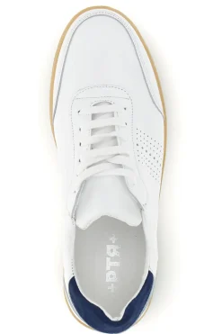 Sneakers bianche in vera pelle traforate in punta Ptr 7000