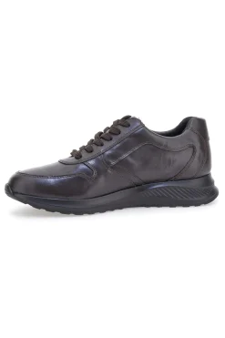 Sneakers marroni in pelle con zip laterale Claremorris 23066510