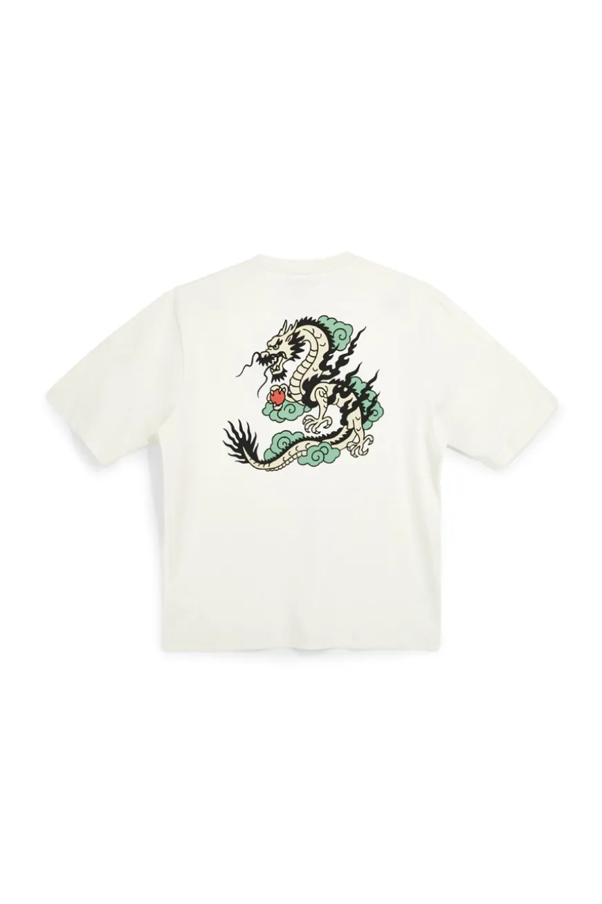 T-shirt grigia stampa grafica retro Boardman alpha PT-M-T-9061